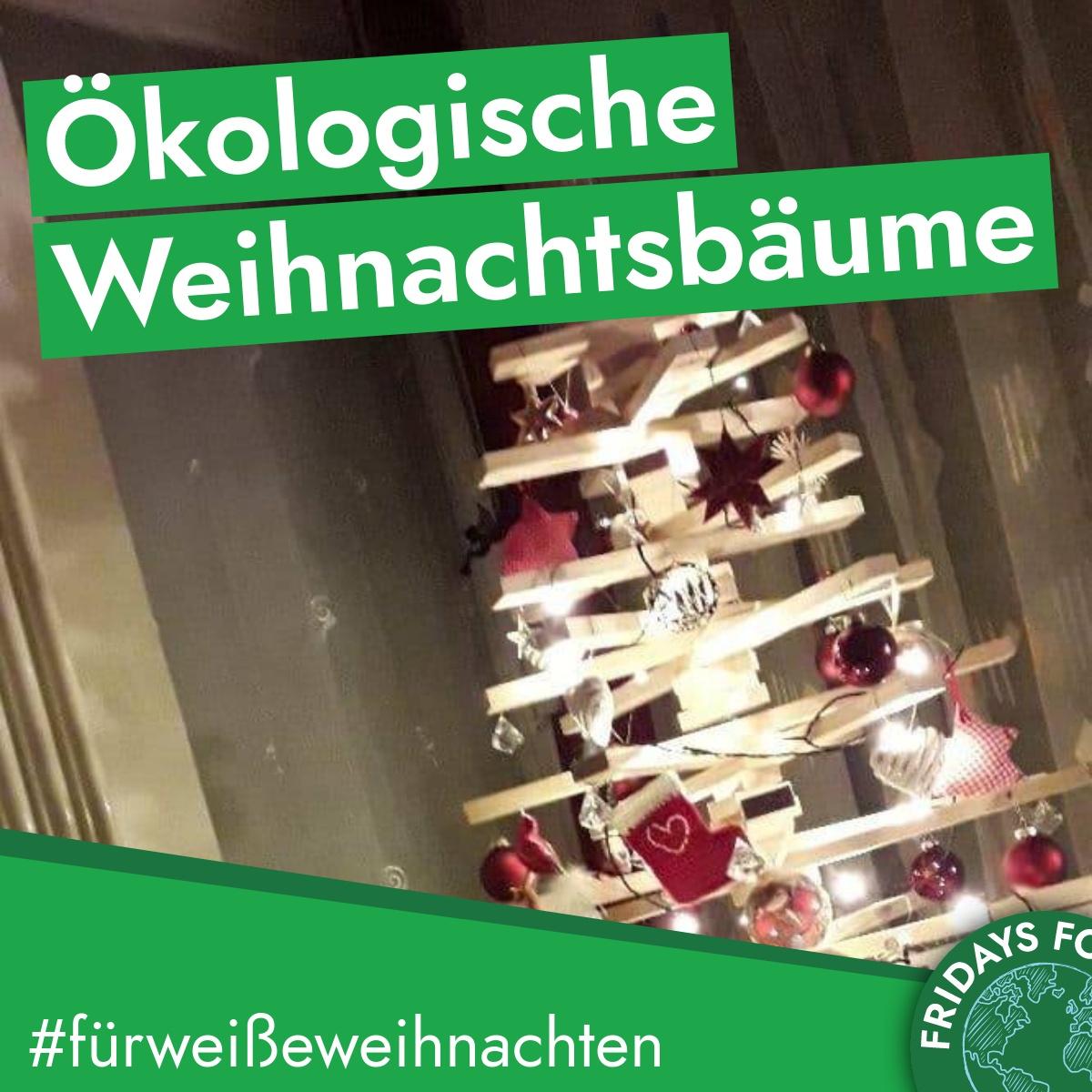 You are currently viewing Türchen 8: Ökologische Weihnachtsbäume