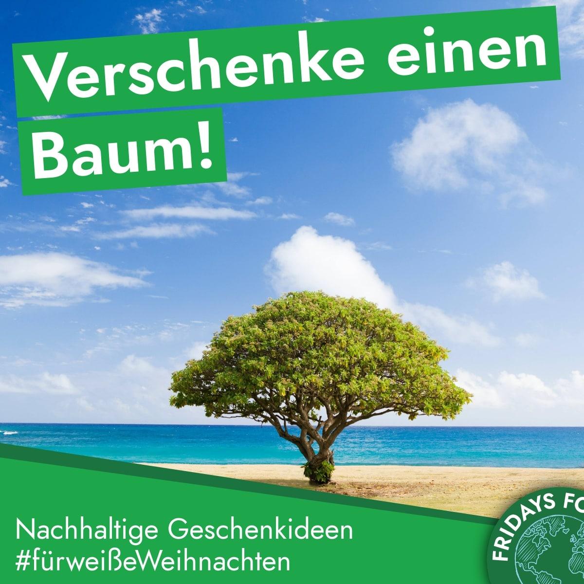 Read more about the article Türchen 14: Bäume zum Verschenken an Weihnachten