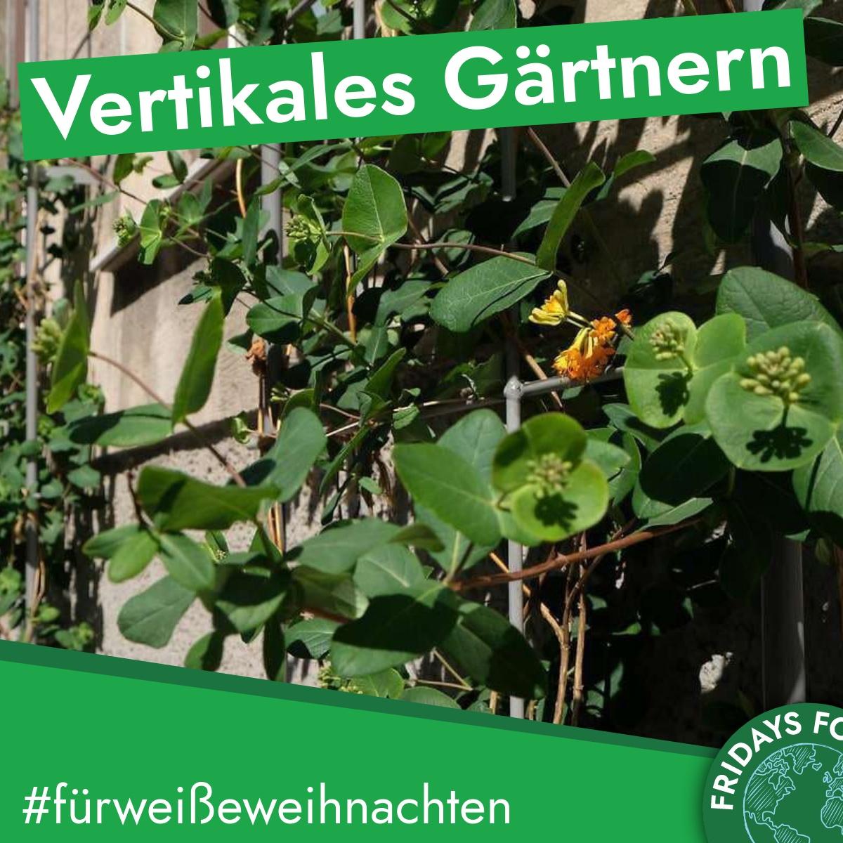 You are currently viewing Türchen 20: Vertikales Gärtnern – Recycling von PET Flaschen