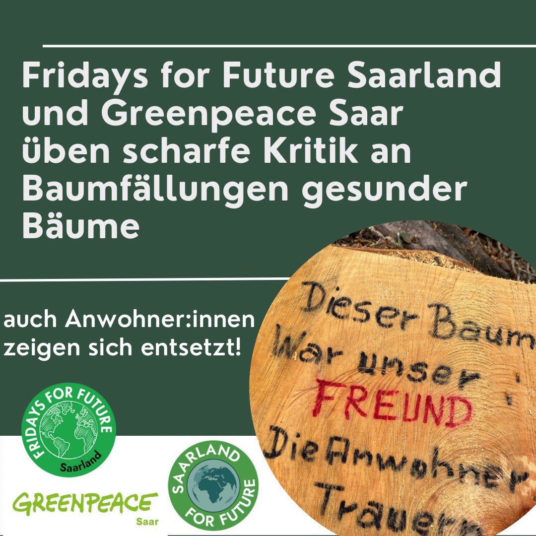 Fridays for Future Saarland, Greenpeace Saar, Saarland for Future